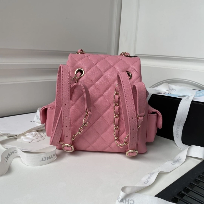 Ch**el backpacks 4016a-0122