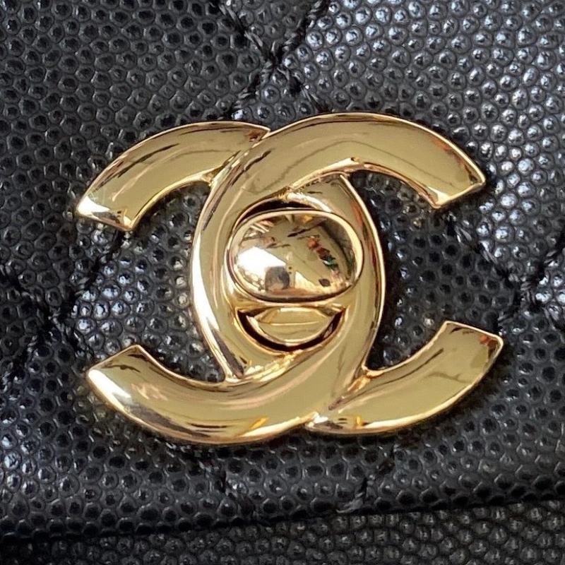 Ch**el backpacks 4016a-0123