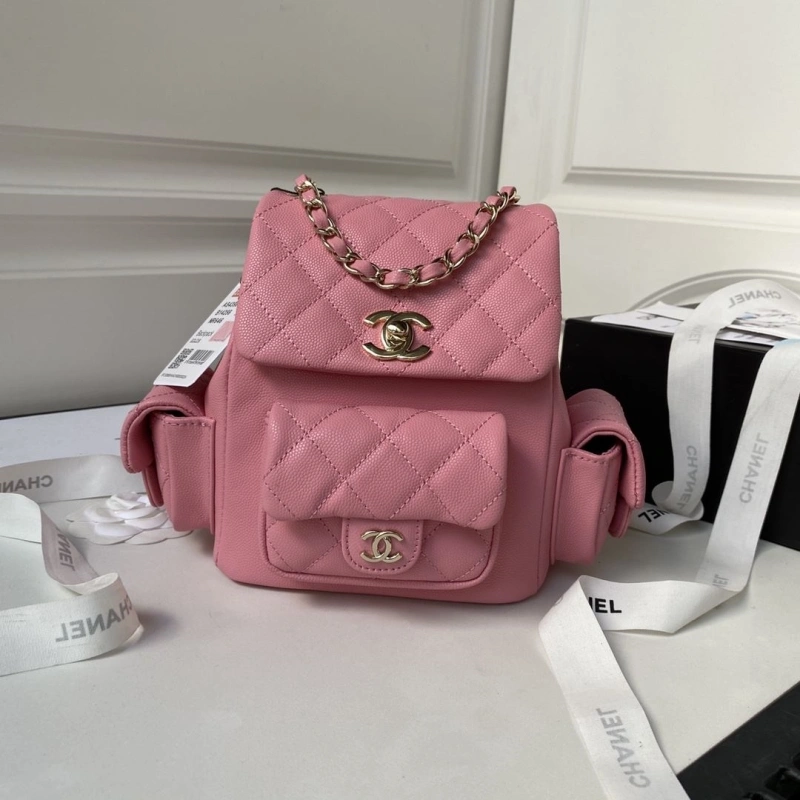 Ch**el backpacks 4016a-0125