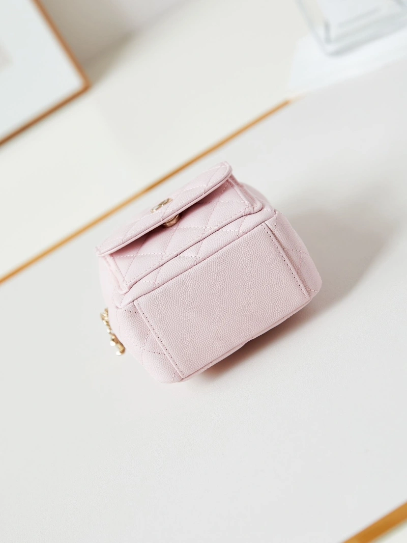 Ch**el backpacks 4017-0060
