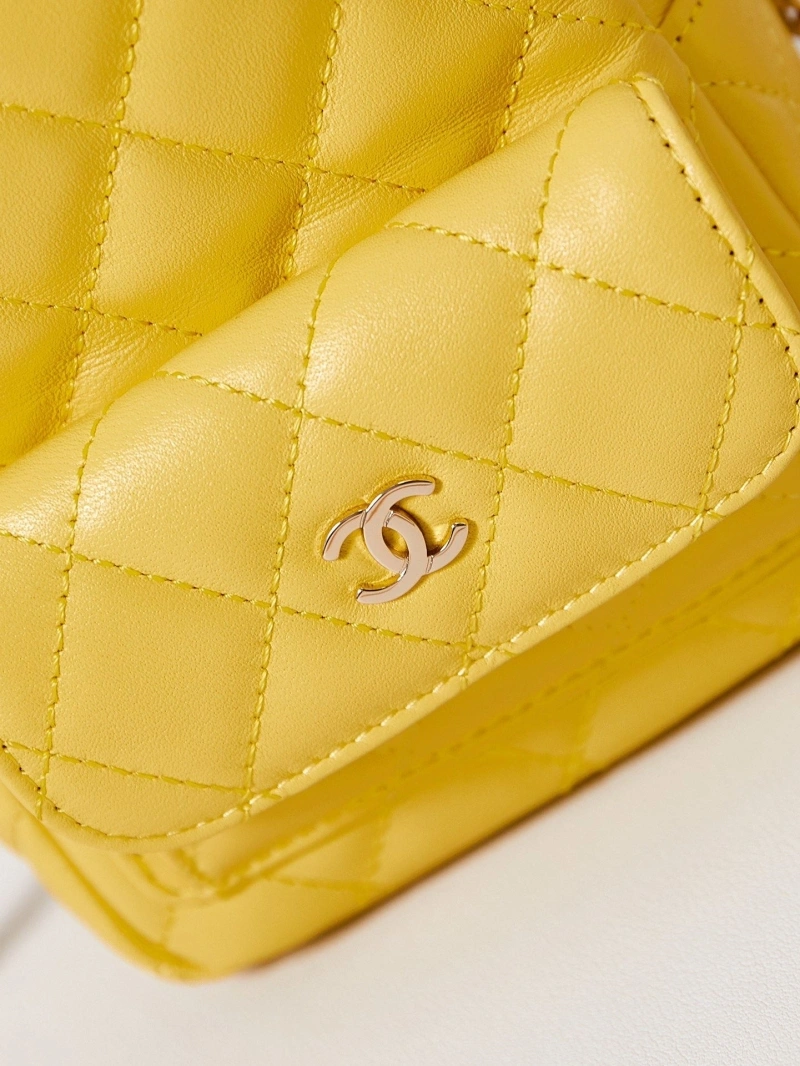 Ch**el backpacks 4017-0064