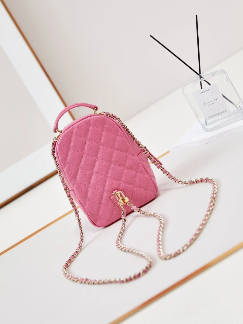 Ch**el backpacks 4017-0065