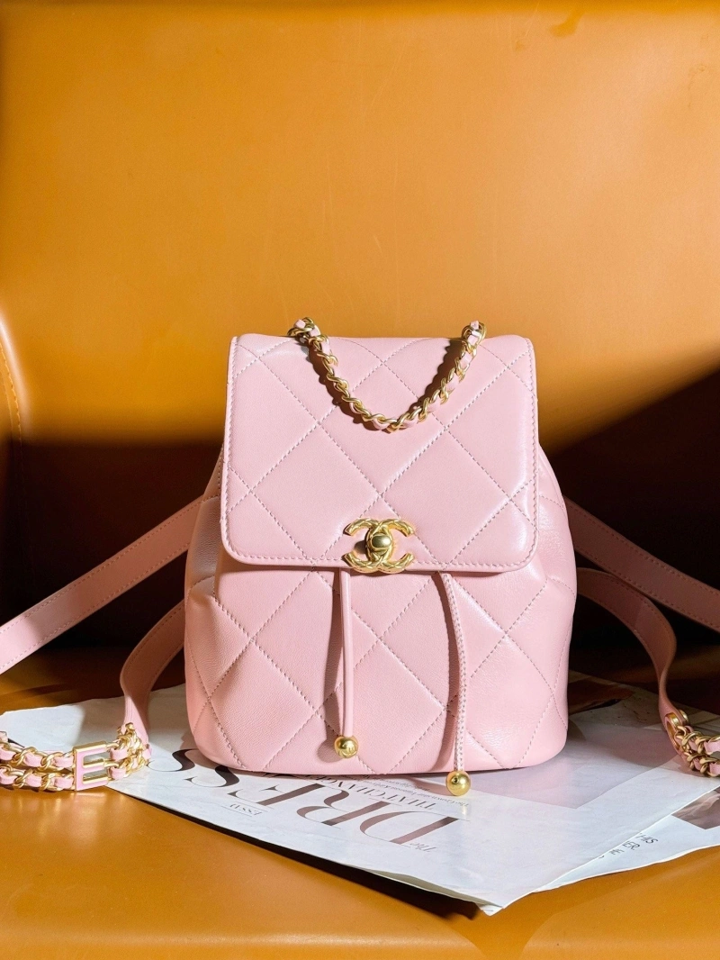 Ch**el backpacks 4017-0353