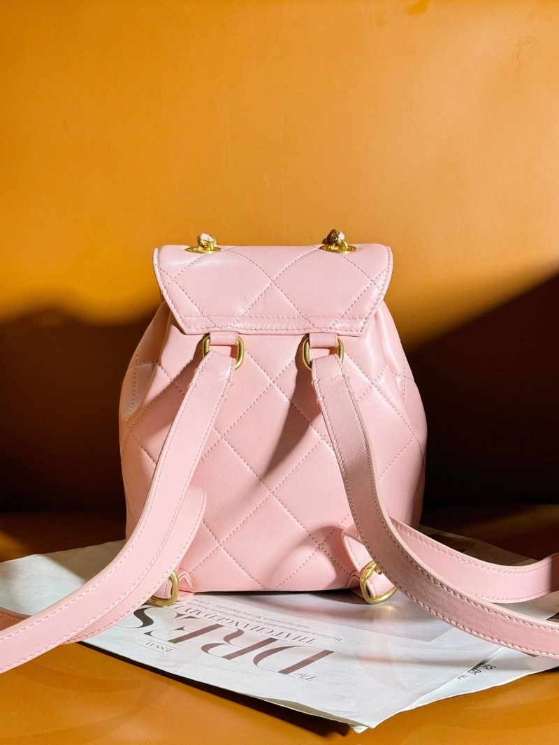 Ch**el backpacks 4017-0353