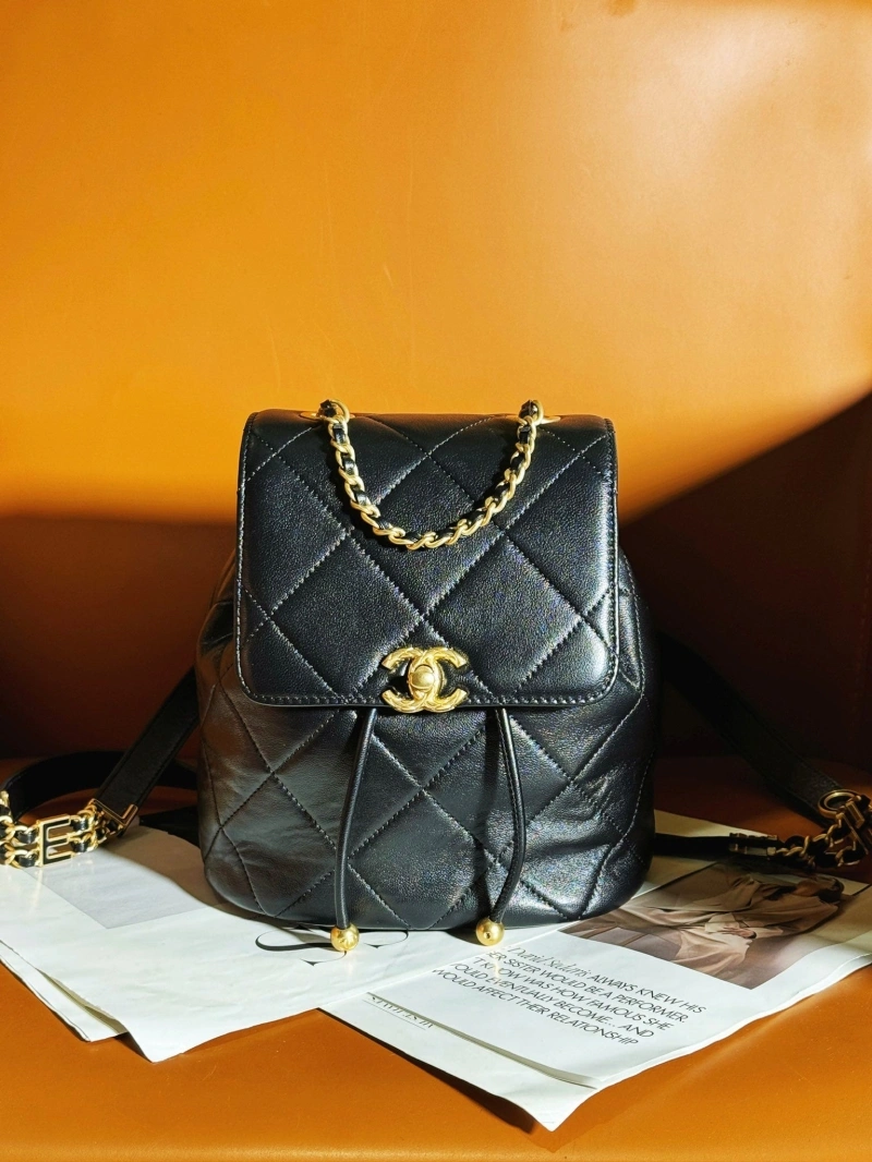 Ch**el backpacks 4017-0355