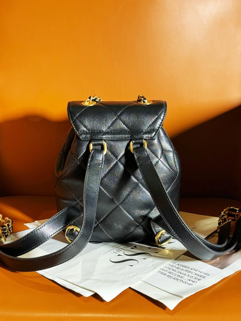 Ch**el backpacks 4017-0355
