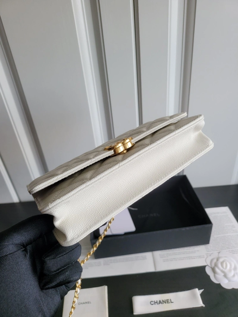 Ch**el 19 bags 4017-0411