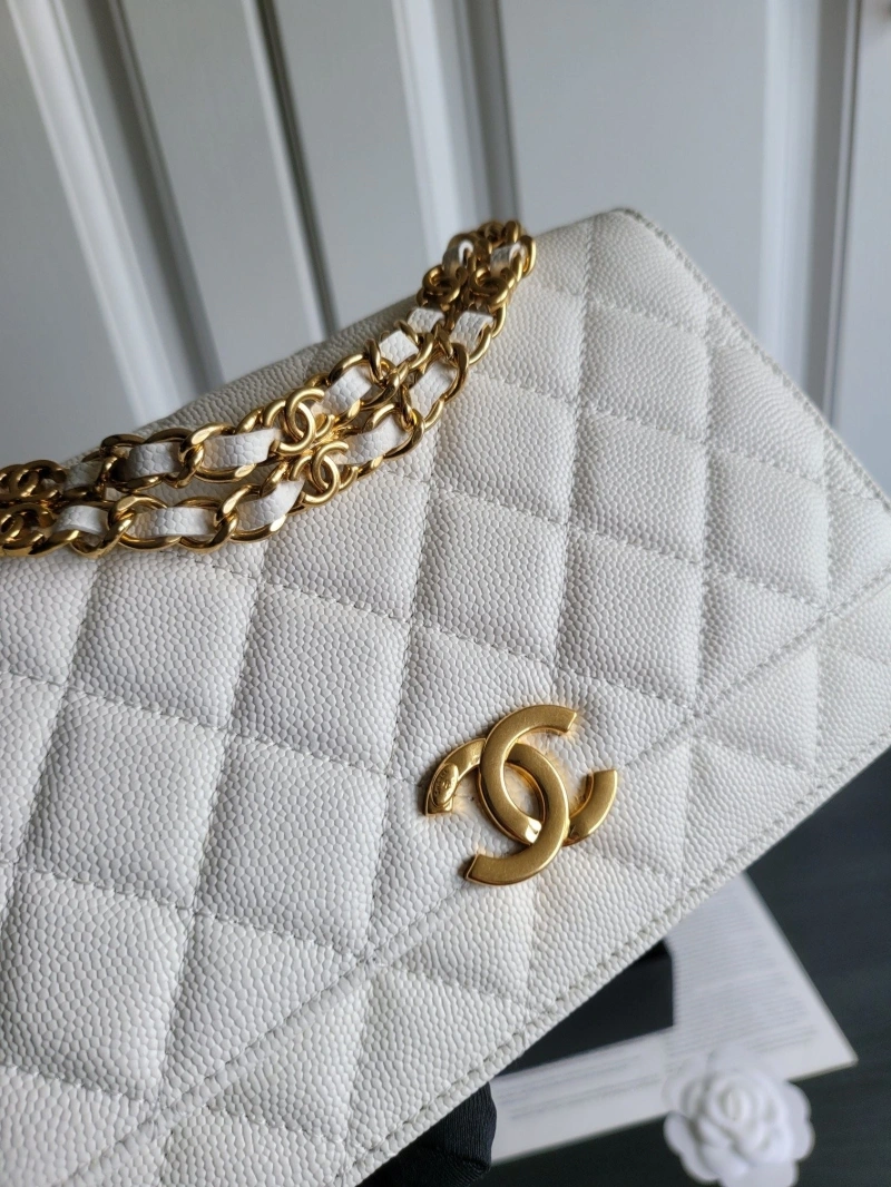 Ch**el 19 bags 4017-0411