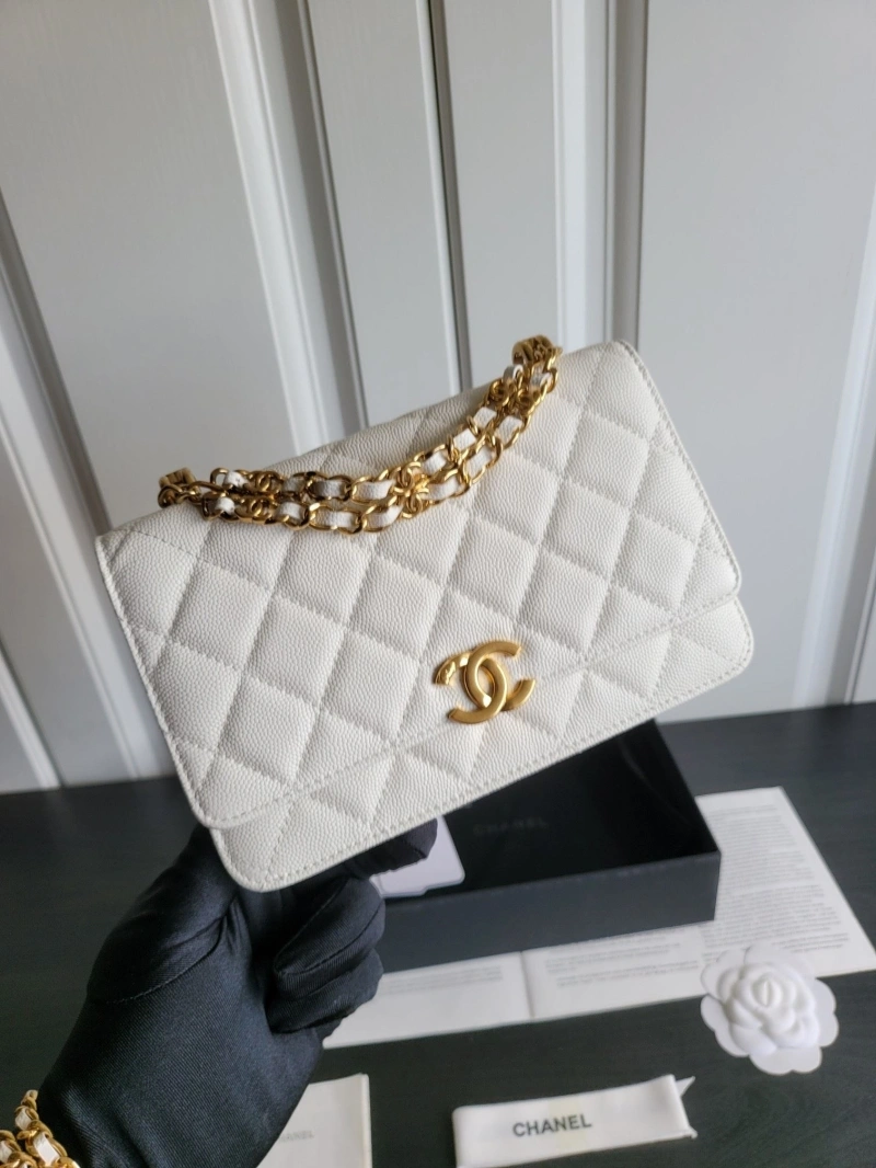 Ch**el 19 bags 4017-0411