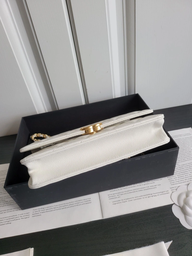Ch**el 19 bags 4017-0411