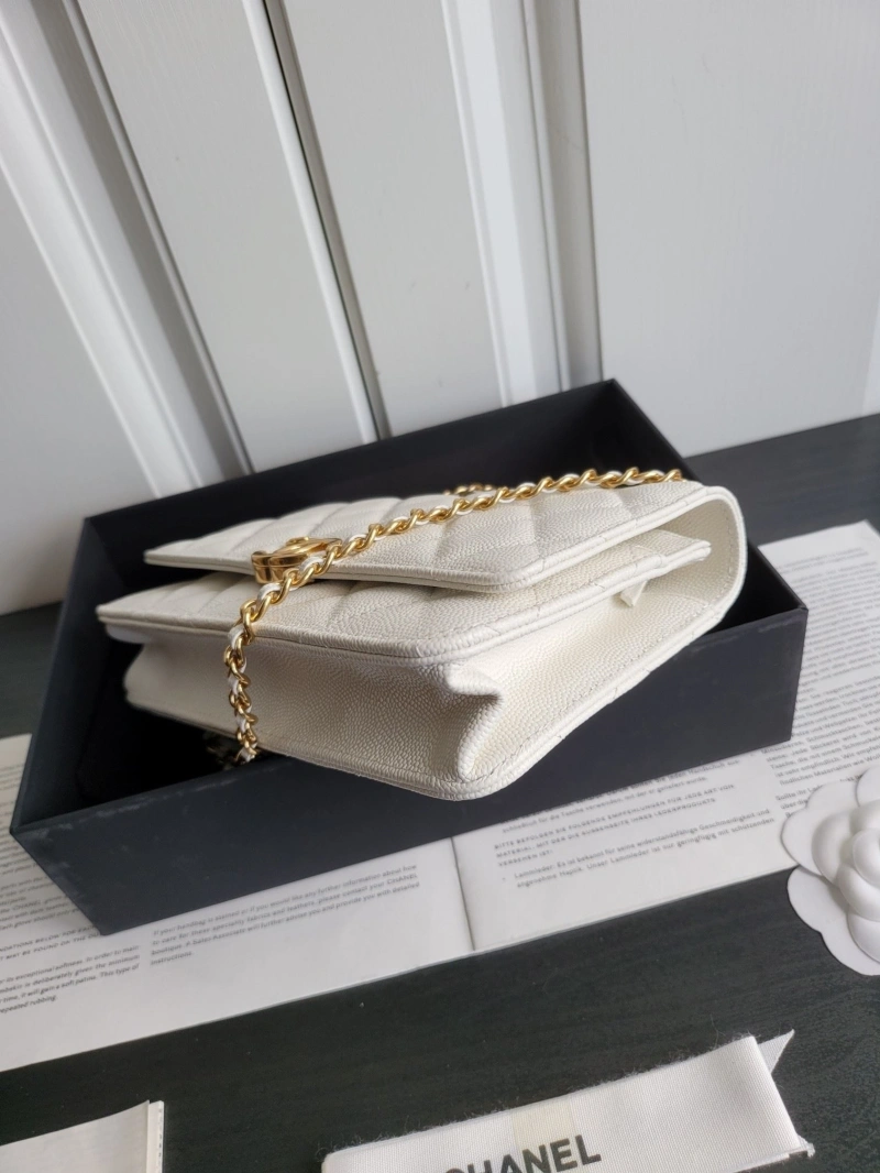 Ch**el 19 bags 4017-0411