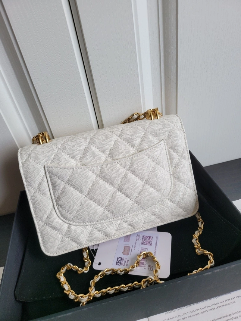 Ch**el 19 bags 4017-0411