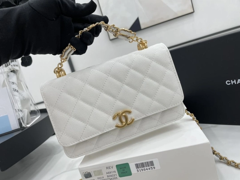 Ch**el 19 bags 4017-0507