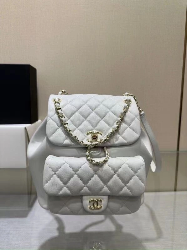 Ch**el backpacks 4017-0584