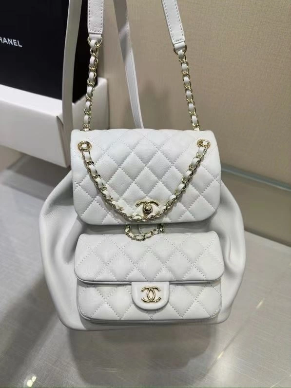 Ch**el backpacks 4017-0584
