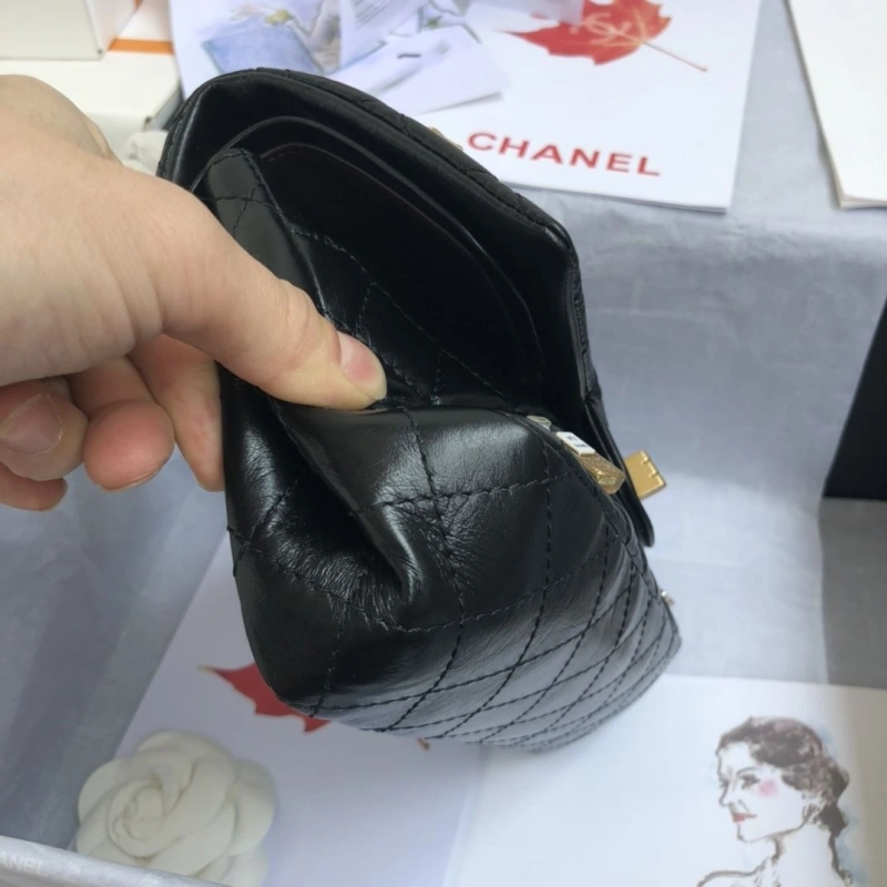 Ch**el cf series bags 4017-0620