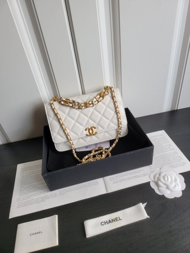 Ch**el 19 bags 4017-0747