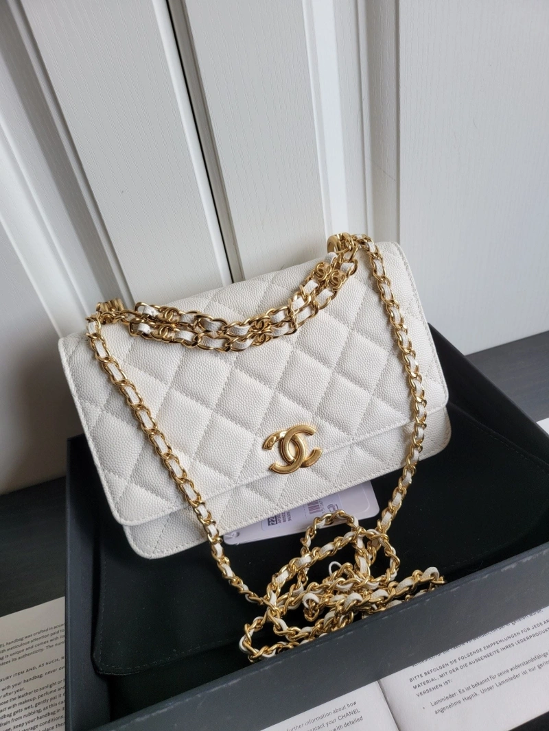 Ch**el 19 bags 4017-0747
