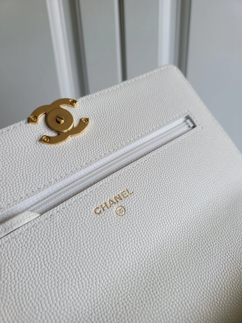 Ch**el 19 bags 4017-0747