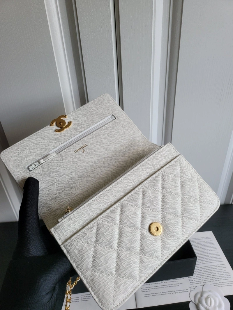 Ch**el 19 bags 4017-0747