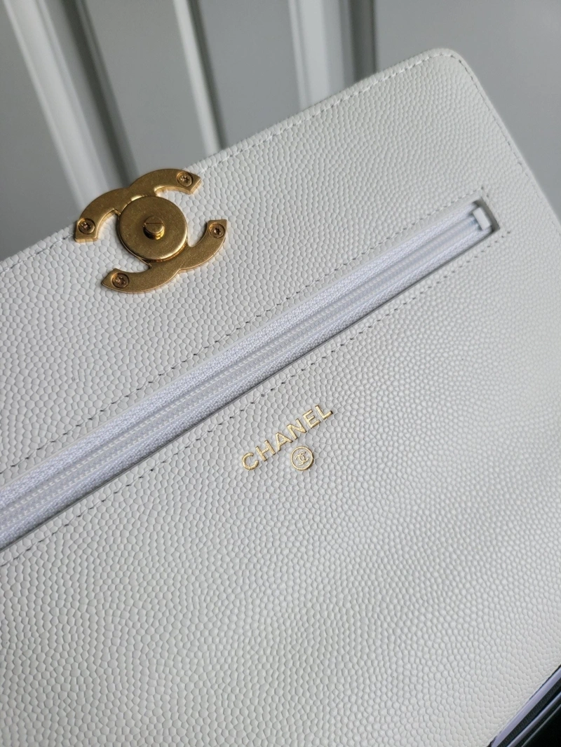 Ch**el 19 bags 4017-0747