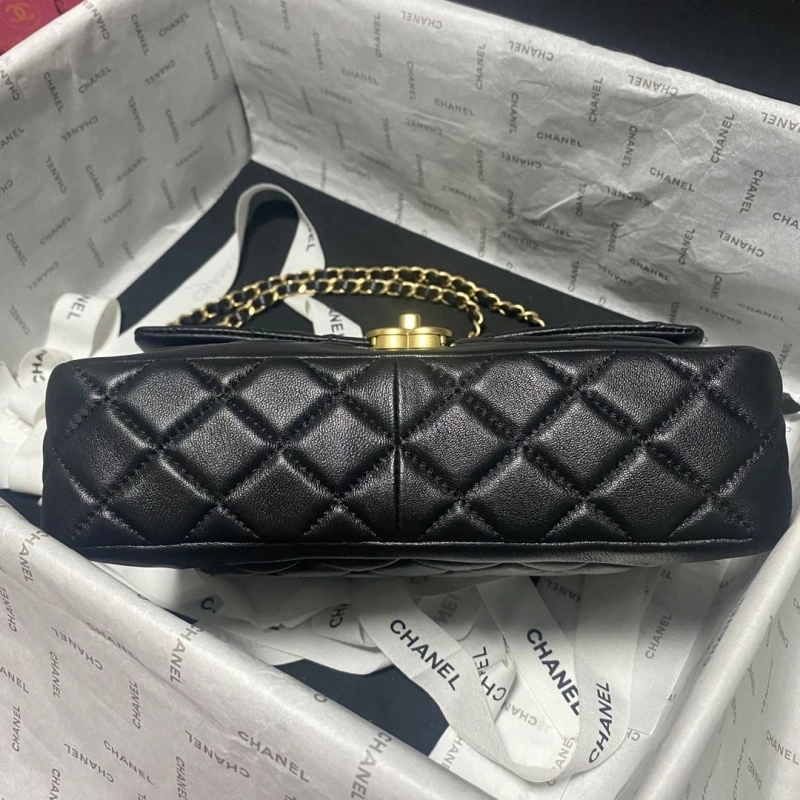 Ch**el 19 bags 4017-0748