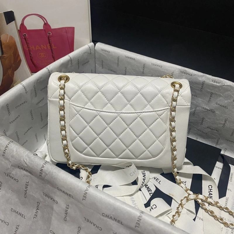 Ch**el 19 bags 4017-0751
