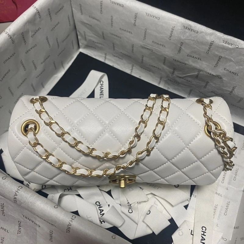 Ch**el 19 bags 4017-0751