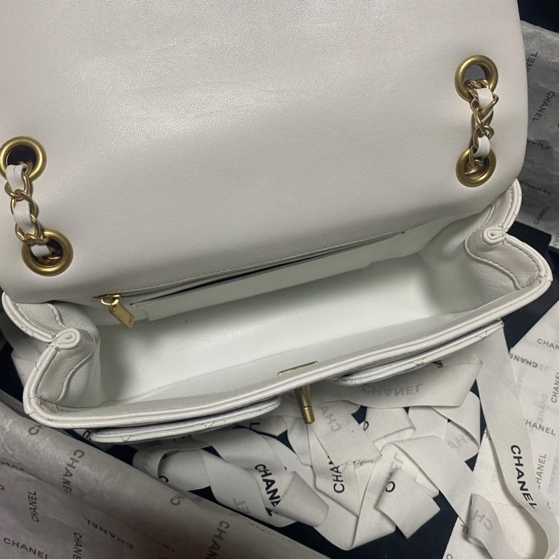 Ch**el 19 bags 4017-0751
