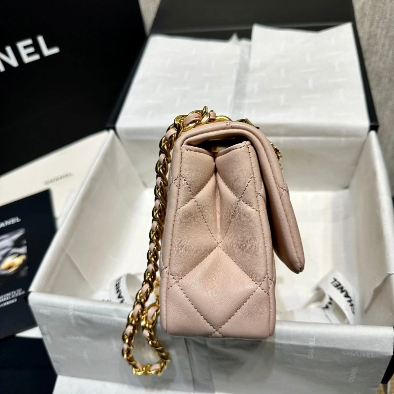 Ch**el 19 bags 4017-0776