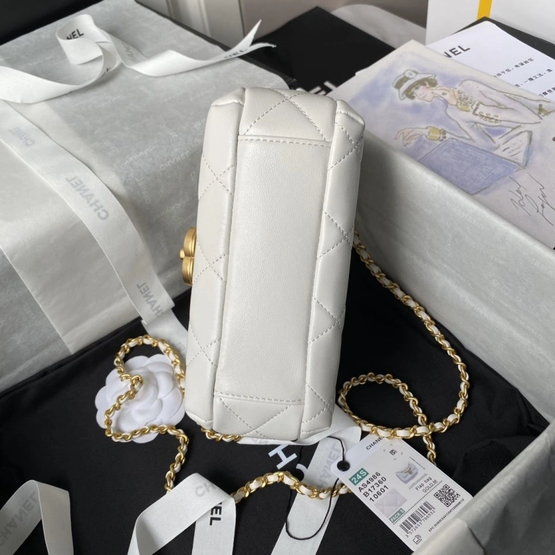 Ch**el 19 bags 4017-0845