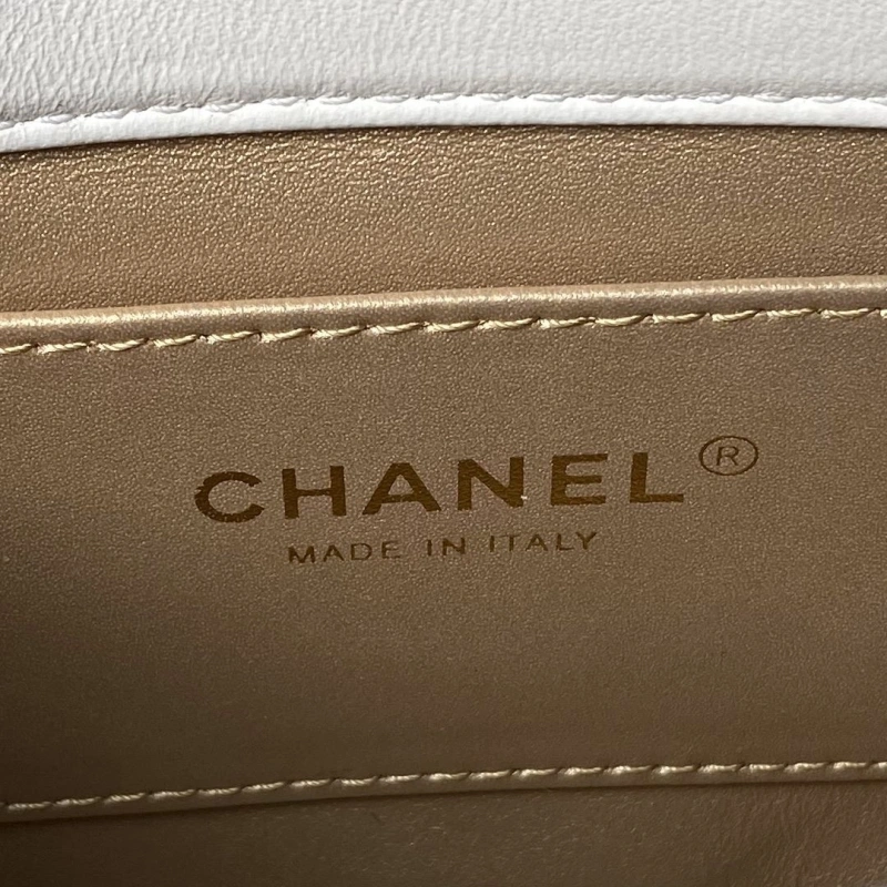 Ch**el 19 bags 4017-0845