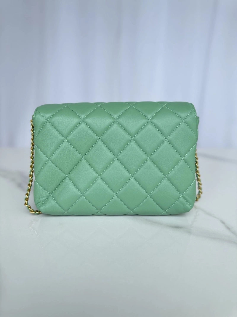 Ch**el 19 bags 4017-0874