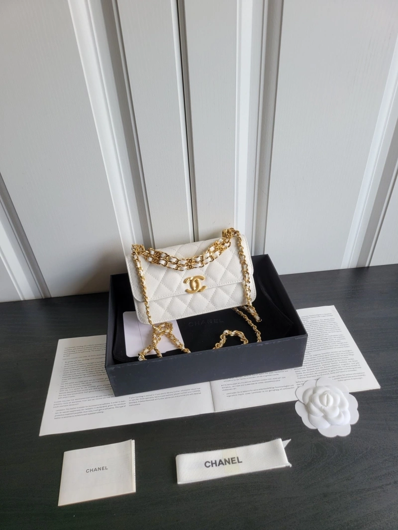 Ch**el 19 bags 4017-1106