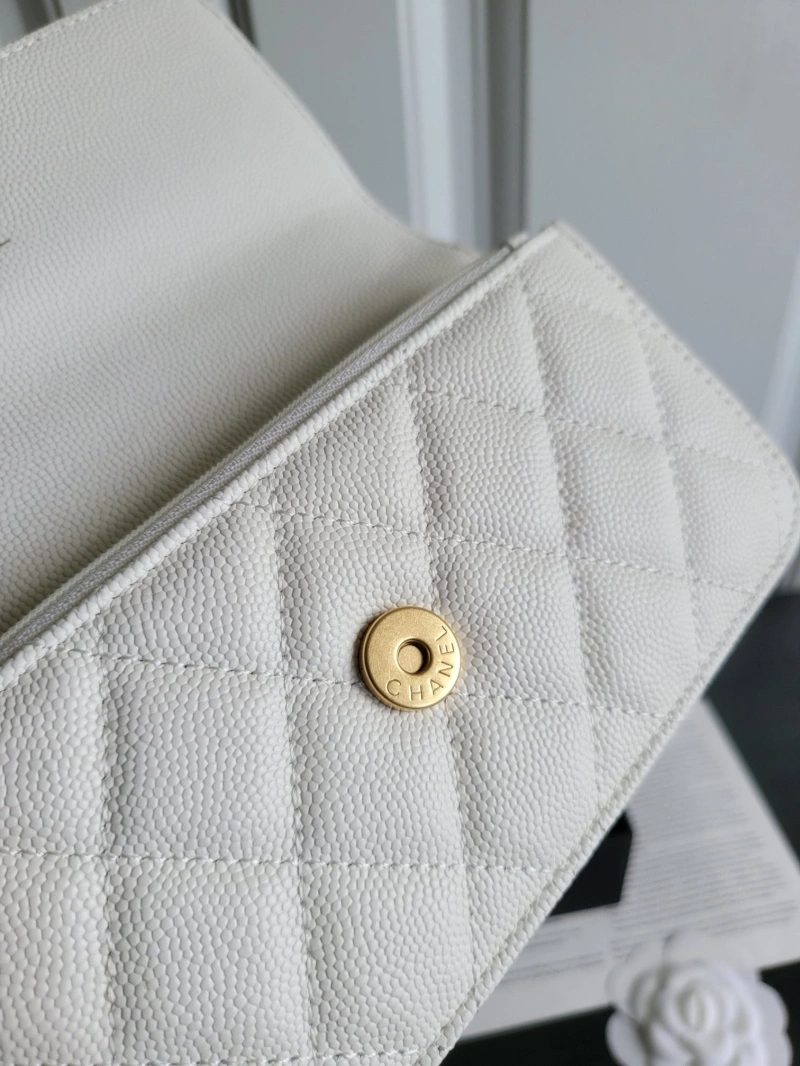 Ch**el 19 bags 4017-1106