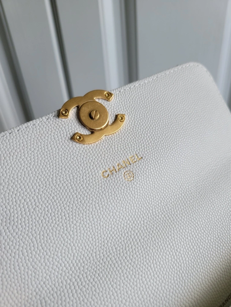 Ch**el 19 bags 4017-1106