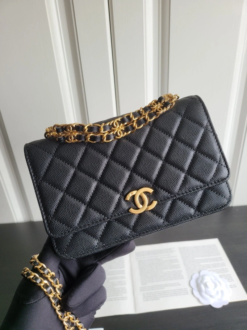 Ch**el 19 bags 4017-1108