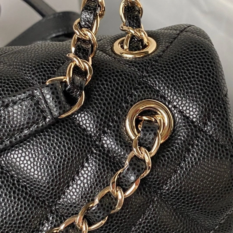 Ch**el backpacks 4017-1408