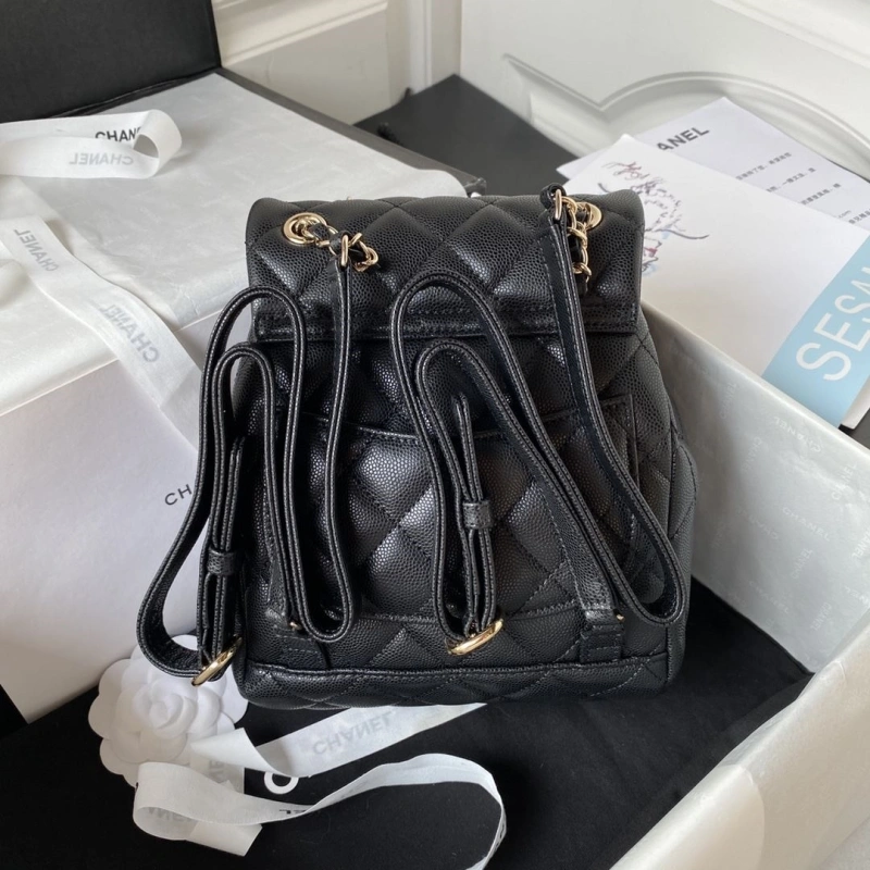 Ch**el backpacks 4017-1411