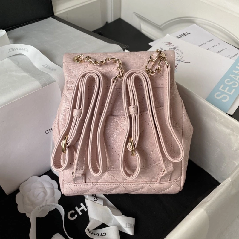 Ch**el backpacks 4017-1413