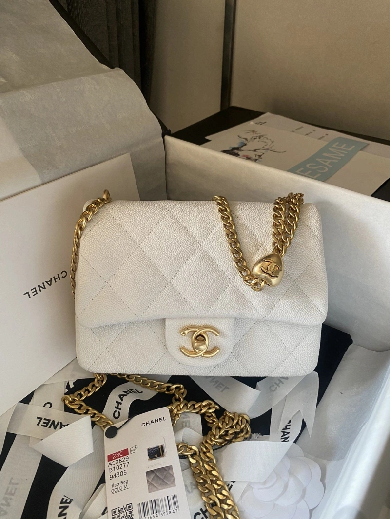 Ch**el 19 bags 4017-1518