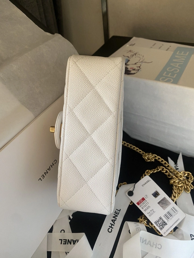 Ch**el 19 bags 4017-1518