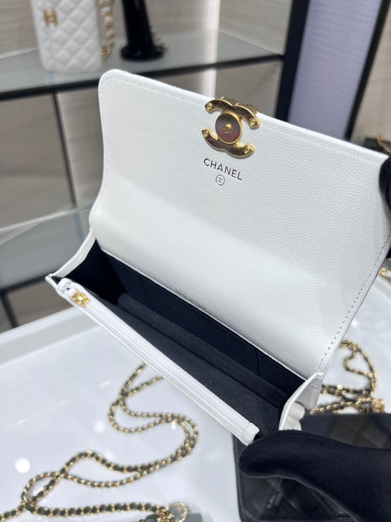 Ch**el 19 bags 4017-1550