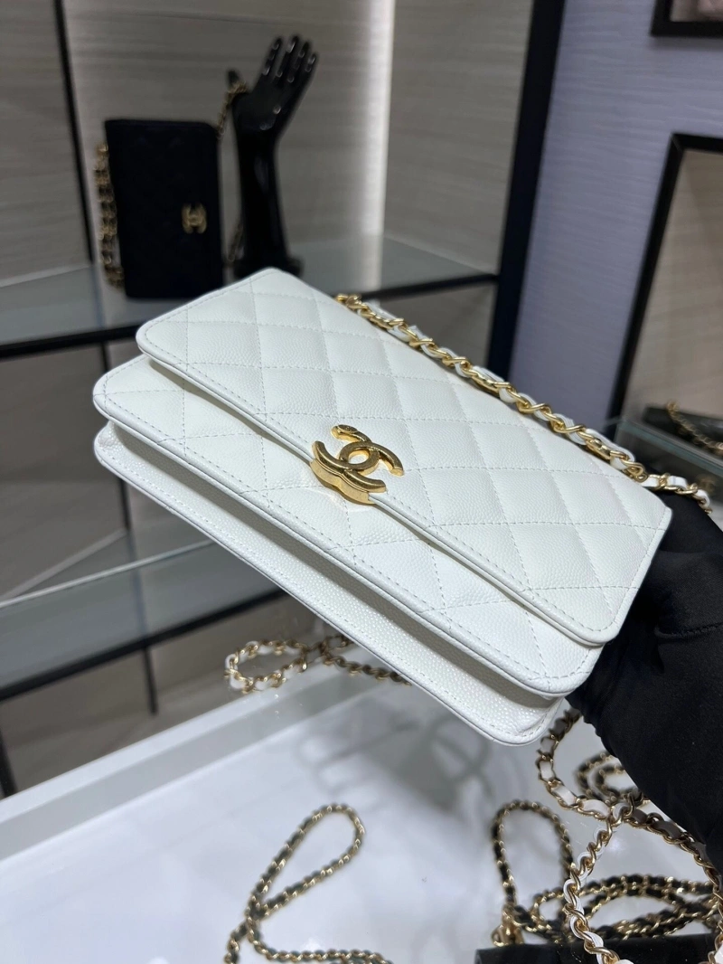 Ch**el 19 bags 4017-1552