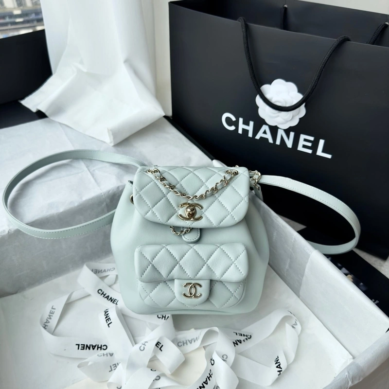 Ch**el backpacks 4017-1617