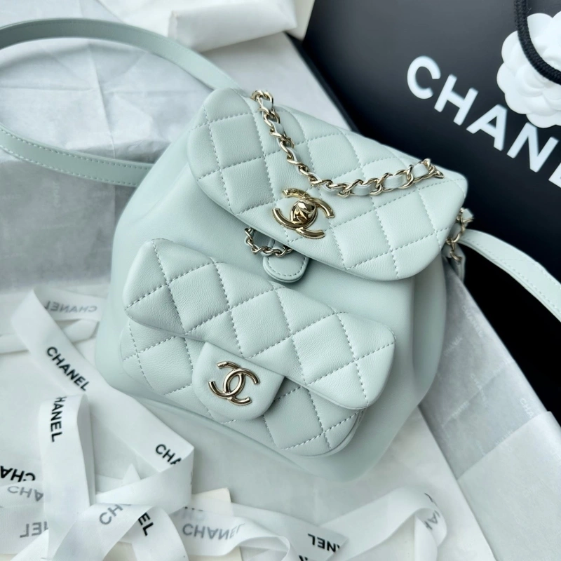 Ch**el backpacks 4017-1617