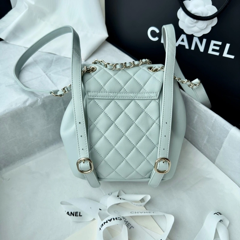 Ch**el backpacks 4017-1617