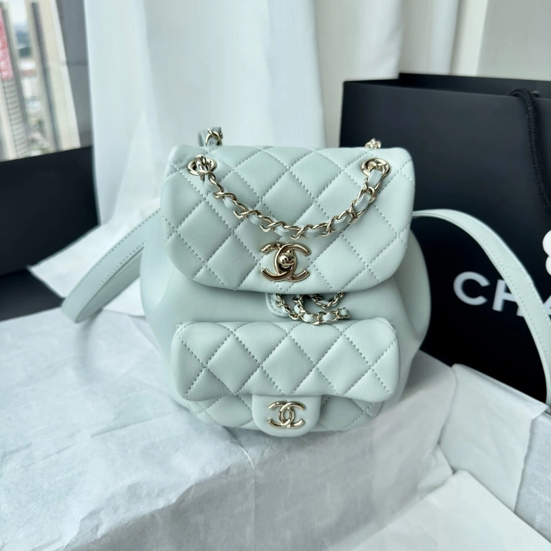 Ch**el backpacks 4017-1617