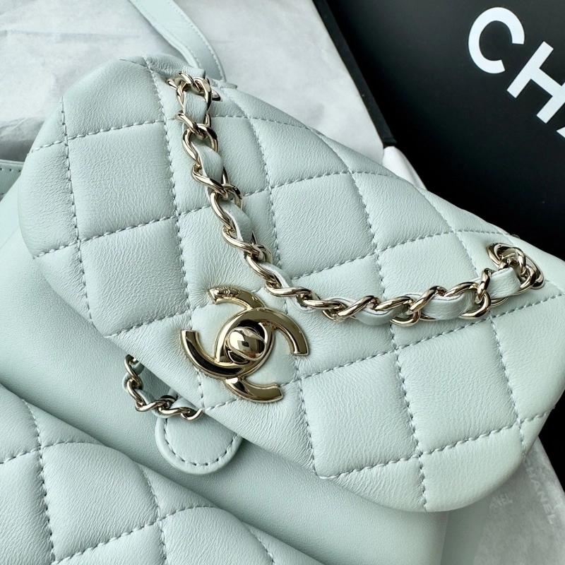 Ch**el backpacks 4017-1617