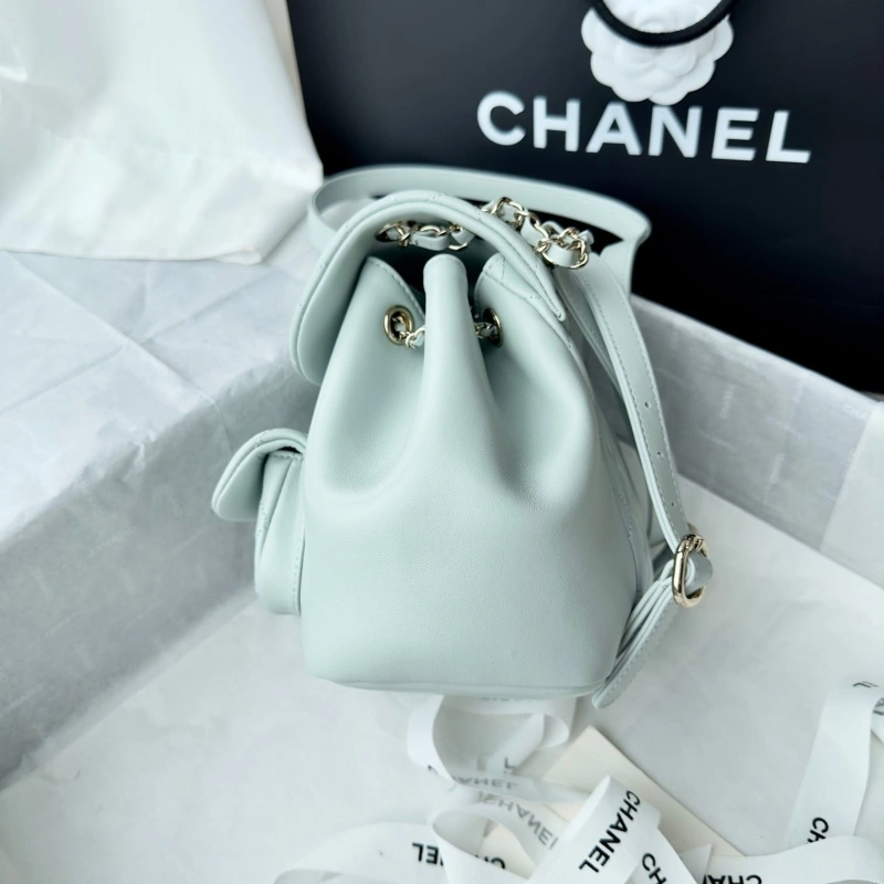 Ch**el backpacks 4017-1617